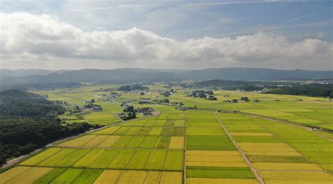 平地|平野